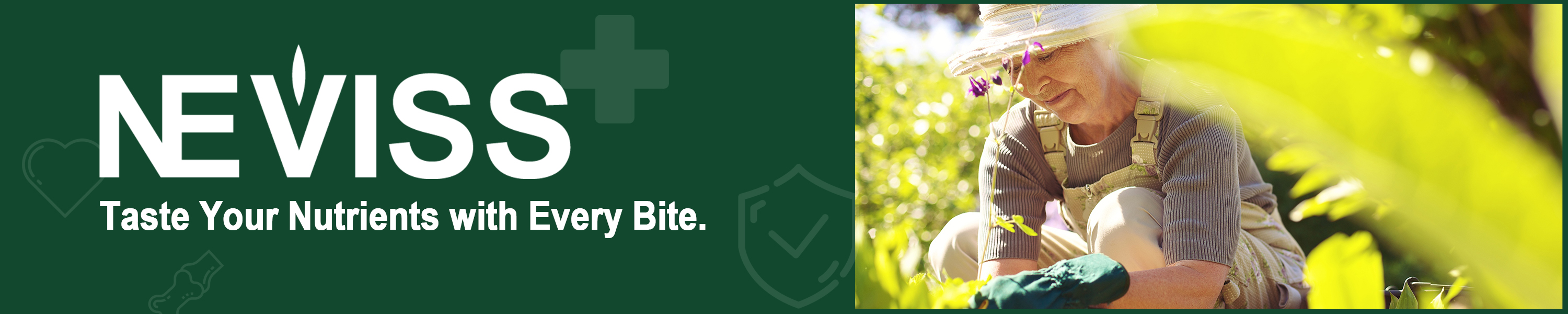 Vitality Rooted in Pure Plants