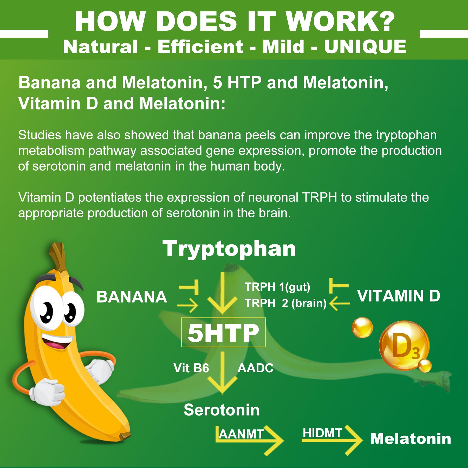 5-HTP 400MG Gummies + GABA - Melatonin Free - Relaxation Gummies with Banana Extract, L-Theanine, Turmeric, L-Tryptophan, D3 for Healthy Rest Cycle, Circadian Rhythm, Brain & Muscle Relax, Pack of 2 - Image 3