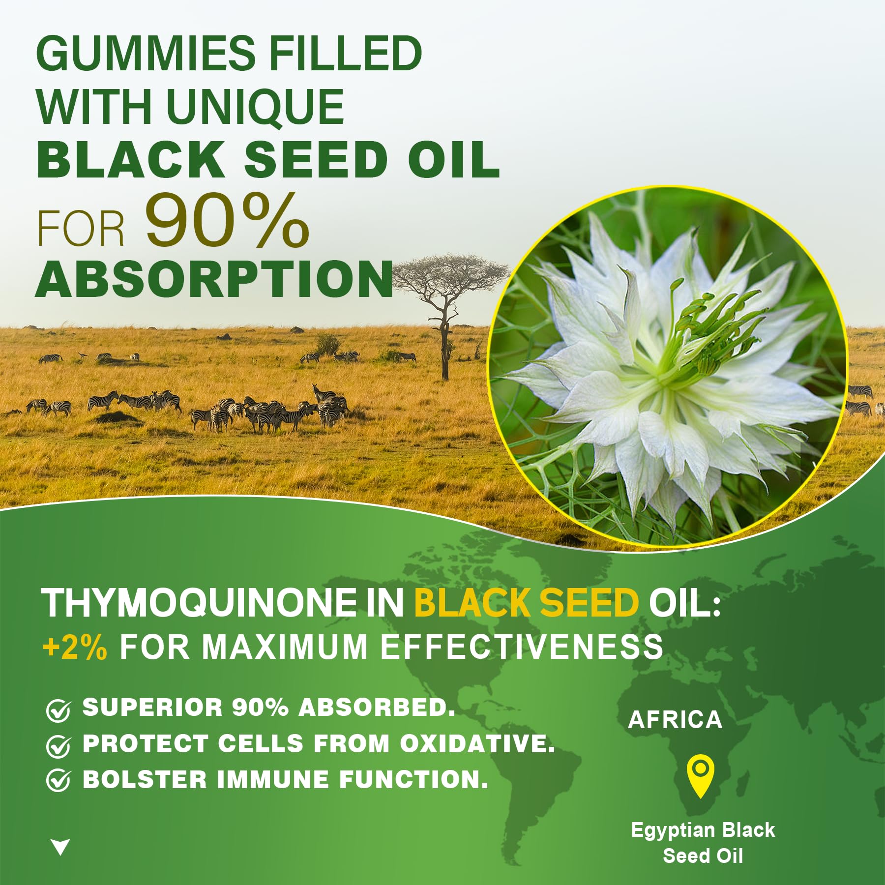 Black Seed Oil Gummies for Adults & Kids 9+, Chlorophyll & Sea Moss Supplement, Biotin with Hydrolyzed Collagen for Skin, Hair & Nails, Vit E, C, Zinc for Immune, Overall Health, Organic Cold Pressed - Image 3