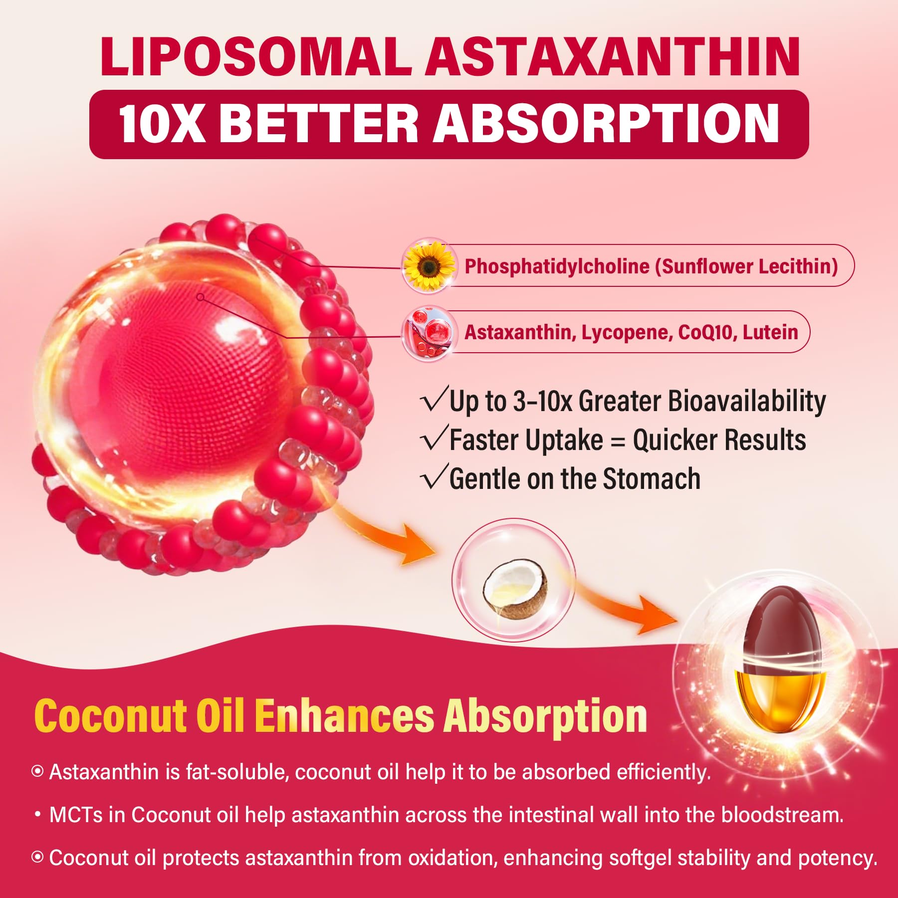 Liposomal Astaxanthin Supplements 12mg / 24mg with Lycopene, CoQ10, Lutein, Vitamin B6, E, Zinc, Coconut Oil - Fresh Microalgae Source Powerful Antioxidants for Healthy Skin, Eyes, Aging -120 Softgels - Image 3