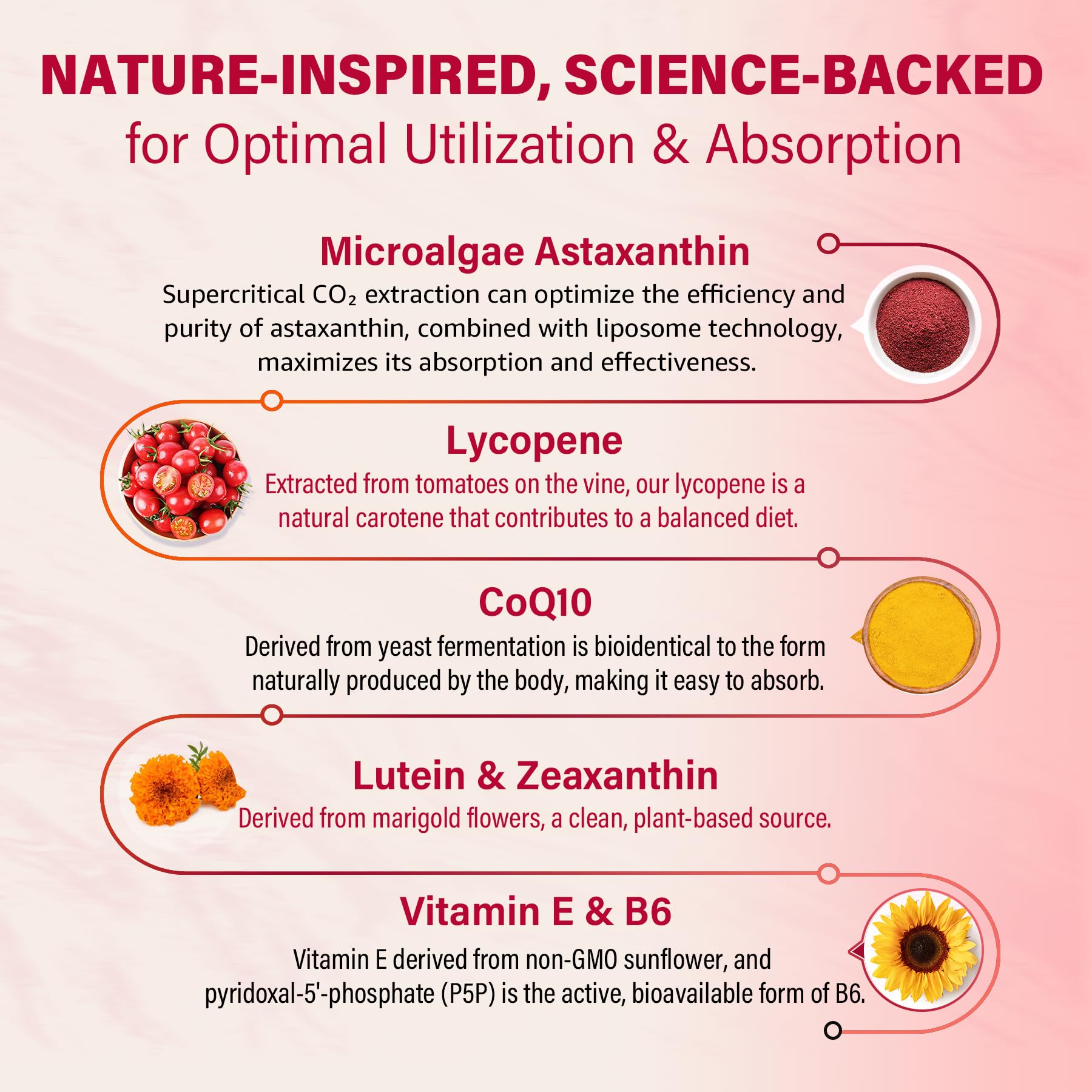 Liposomal Astaxanthin Supplements 12mg / 24mg with Lycopene, CoQ10, Lutein, Vitamin B6, E, Zinc, Coconut Oil - Fresh Microalgae Source Powerful Antioxidants for Healthy Skin, Eyes, Aging -120 Softgels - Image 5