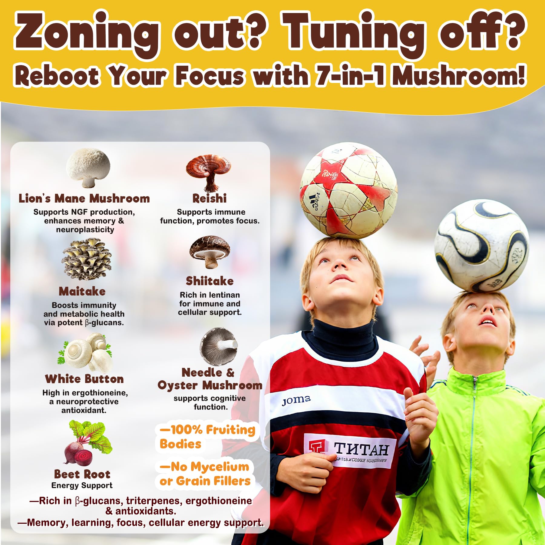 Neviss Kids 10+ Focus Brain Gummies w/Lion's Mane, B6, Methyl B12, Mushroom Filled Gummy for Teen & Adults Memory & Energy, Phosphatidylserine, L-Tyrosine, Choline, Beetroot, Ginkgo Biloba, Sugar Free - Image 4