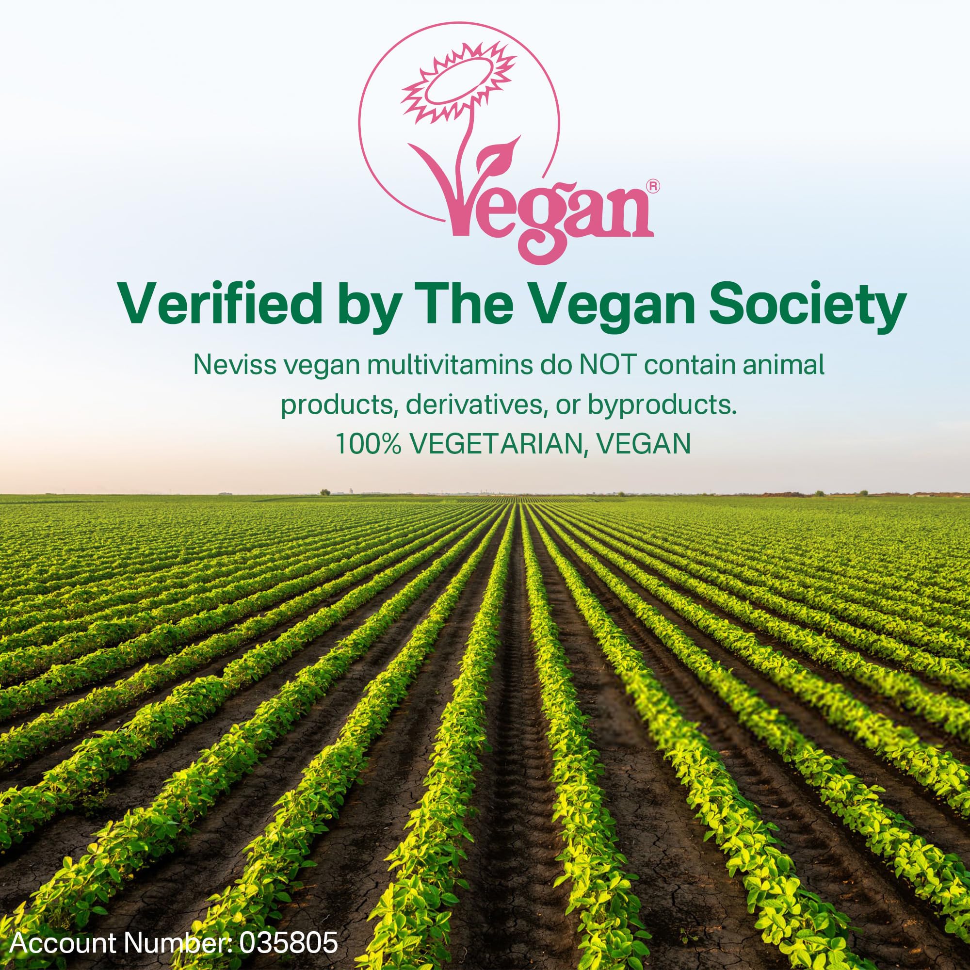 NEVISS Vegan Multivitamin for Women & Men w/Methyl B12, D3 K2, Plant Based Omega 3 (DHA+EPA), Iron, Choline, Zinc, Whole Food Daily Vitamins Gummies for Vegans & Vegetarians, Sugar Free, 60Cts - Image 3