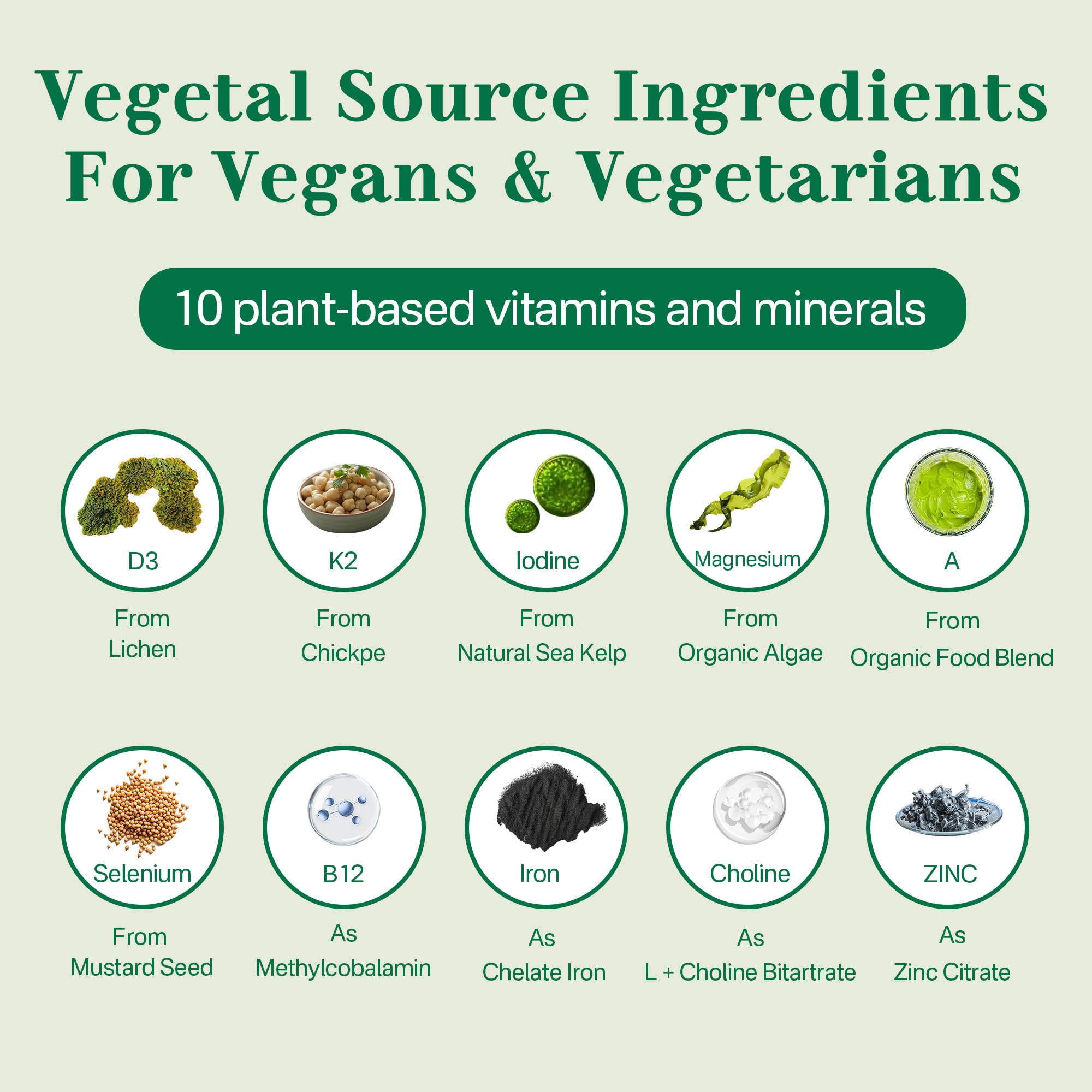 NEVISS Vegan Multivitamin for Women & Men w/Methyl B12, D3 K2, Plant Based Omega 3 (DHA+EPA), Iron, Choline, Zinc, Whole Food Daily Vitamins Gummies for Vegans & Vegetarians, Sugar Free, 60Cts - Image 7