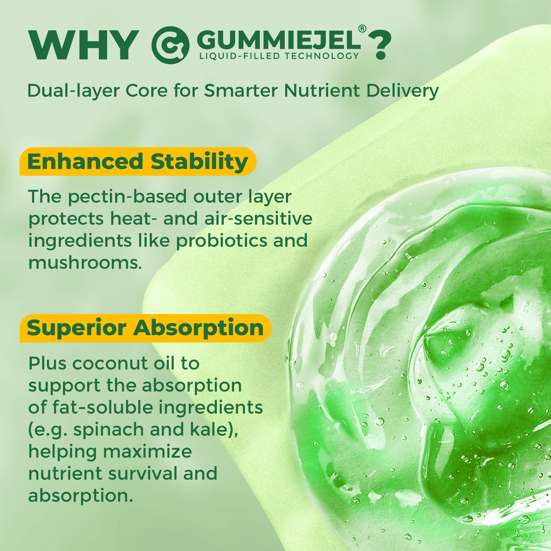 Organic Super Greens Daily Superfood Gummies + Probiotics, Spirulina, Chlorella Spinach Broccoli, Prebiotic Fiber, Mushroom -Rich in Vitamins & Antioxidants - Digestive, Focus, Energy, No Sugar, 60Cts - Image 6