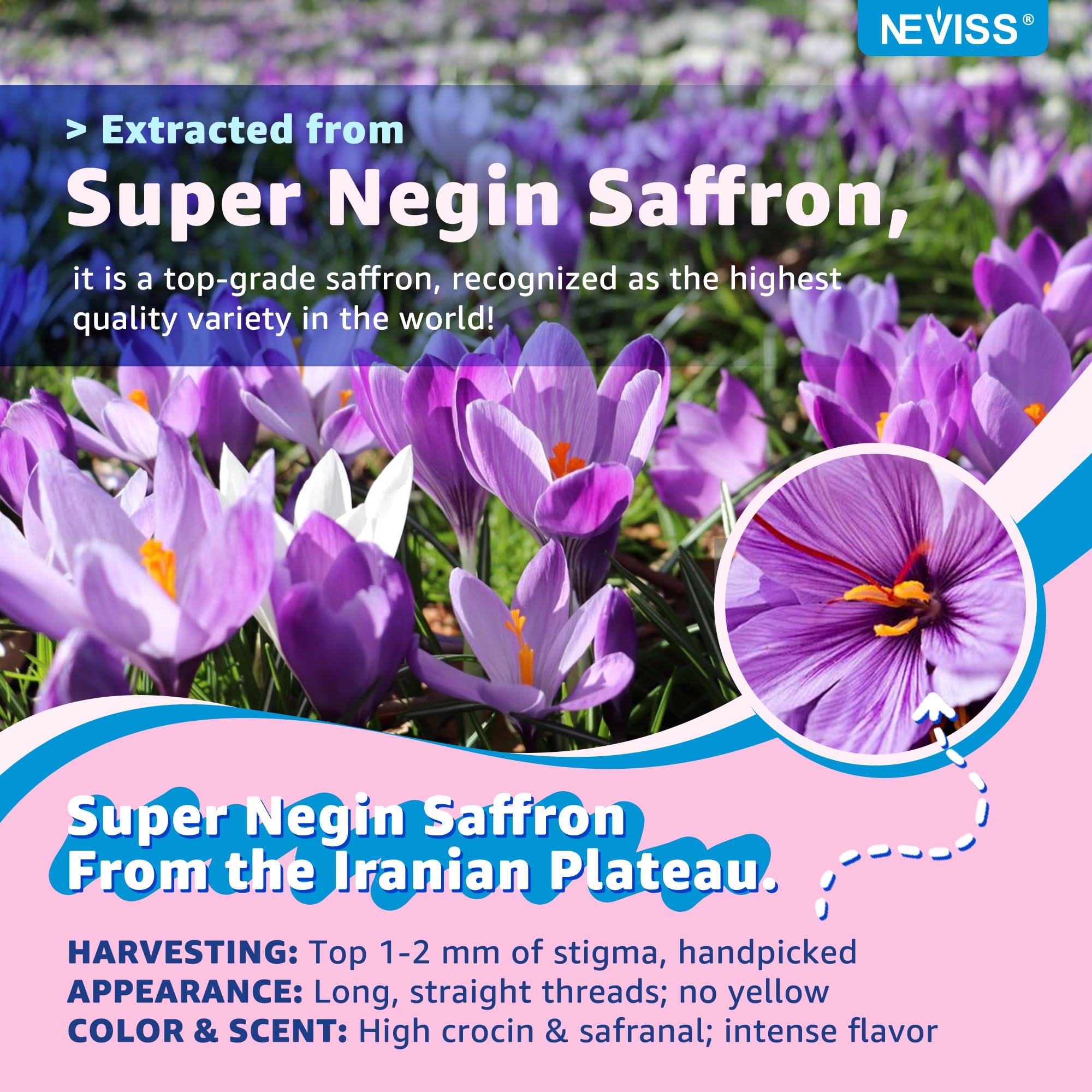 Saffron +Magnesium Glycinate +Omega-3 - Calm Focus Gummies for Kids 4+, Saffron Extract Supplement with L-Theanine, Holy Basil, Rosemary, B6, D3 for Happy Mood, Cognition, ZZz, Sugar Free, 2 Pack - Image 5