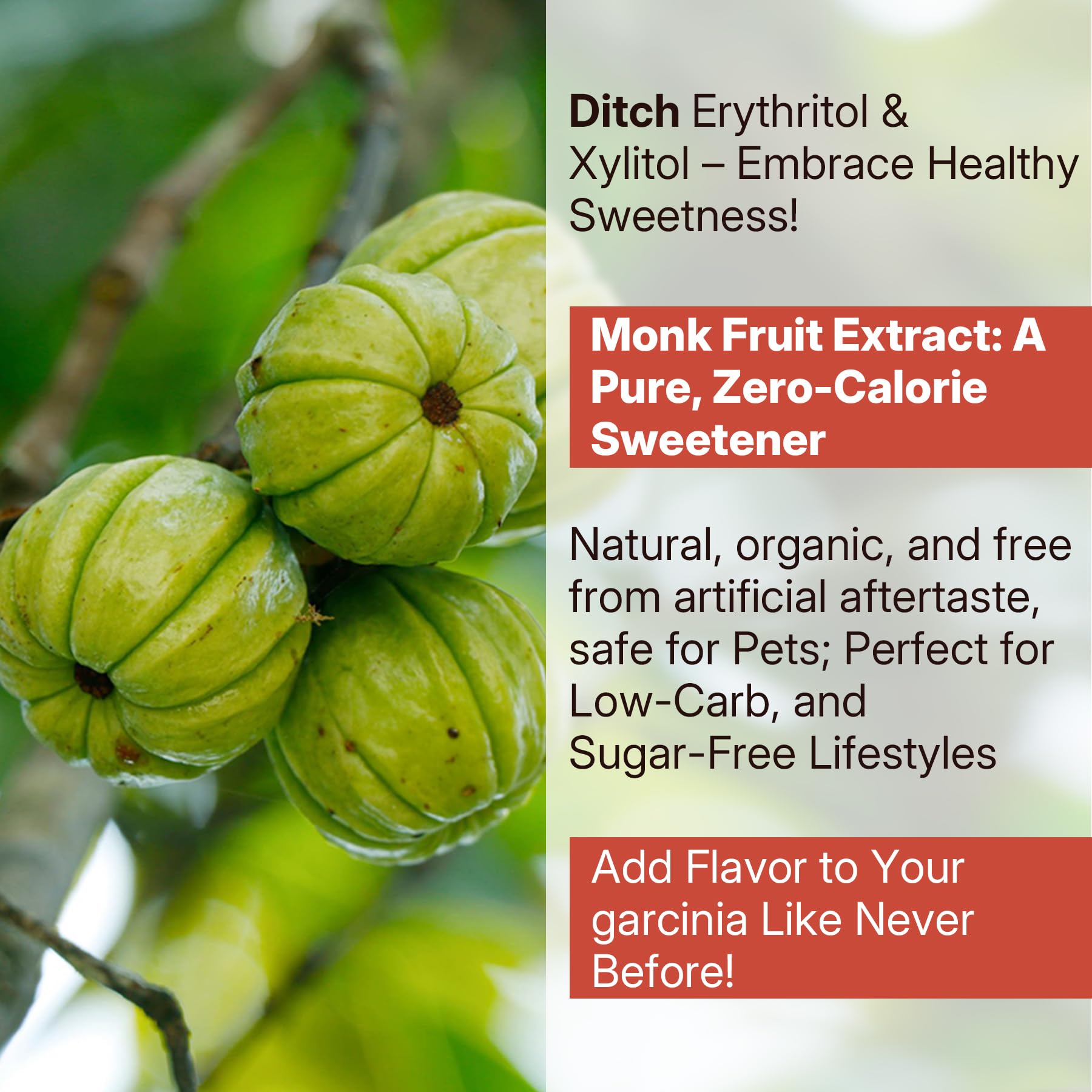 Sugar Free Garcinia Cambogia Gummies 1000mg 95% HCA Pure Extract with L-Carnitine, Raspberry Ketone, Chromium, Green Coffee Bean for Metabolism, 100% Organic Extract, Vegan, Strawberry Flavor 60 Cts - Image 7