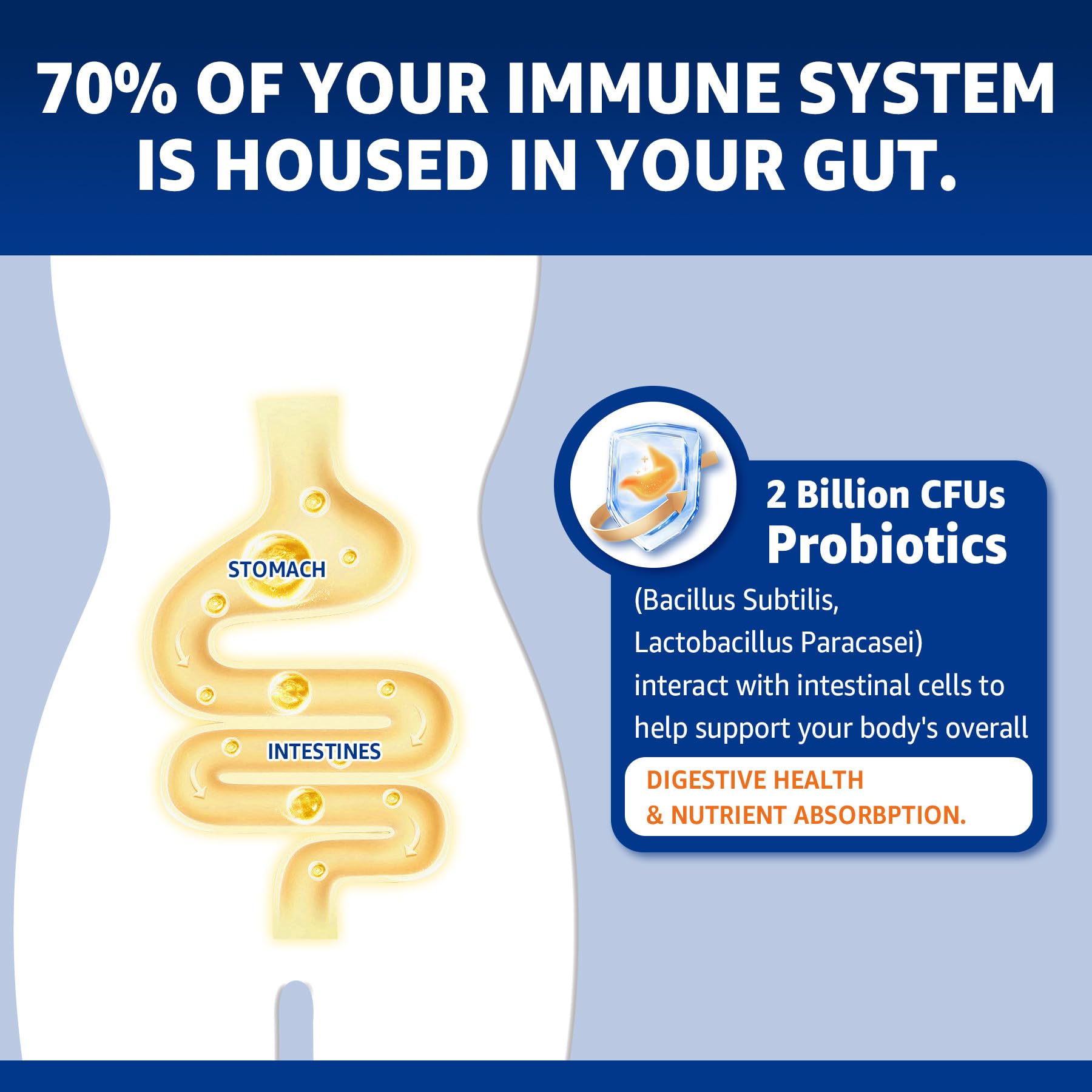 Zinc Picolinate Gummies with Copper + Probiotics, Vitamin B6 for Max Absorption, Zinc Supplements for Men and Women, Two Essential Minerals Balance Formula for Immunity and Gut Health, Vegan, 120 Cts - Image 7